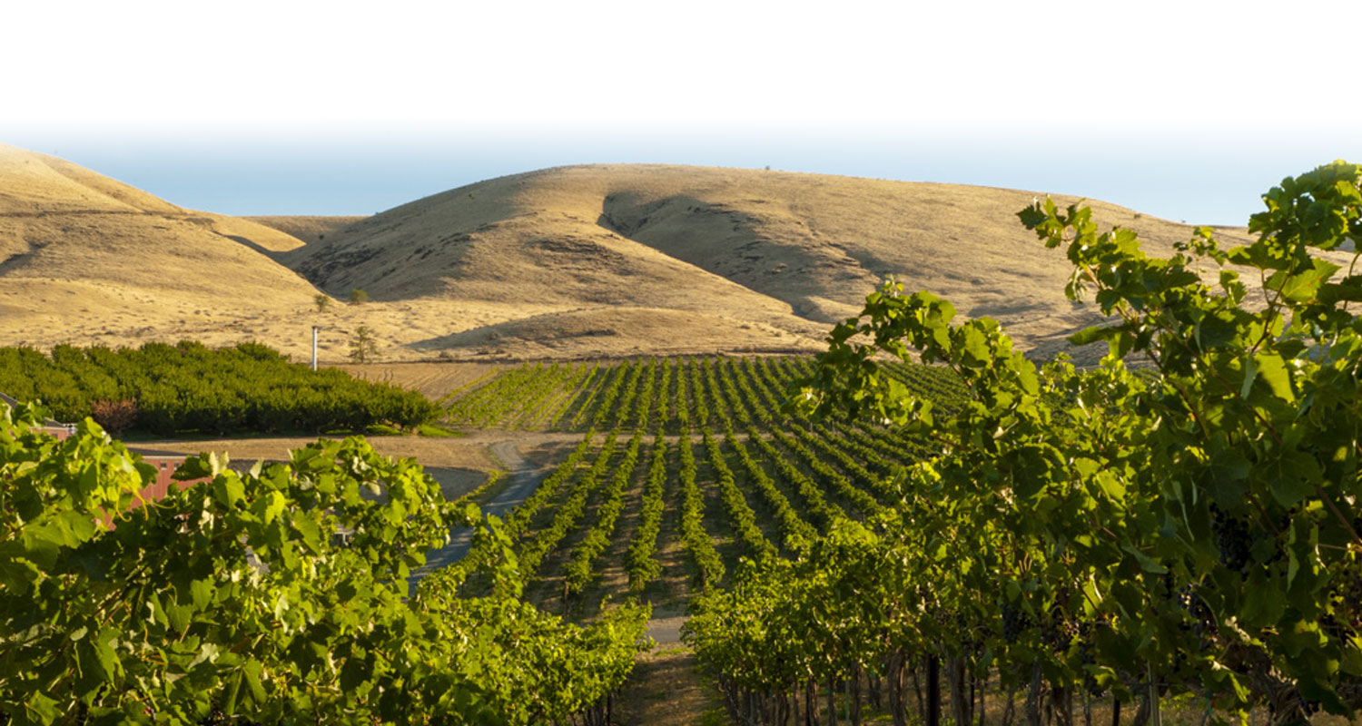 Yakima Valley AVA in Washington produces world-class wine grapes