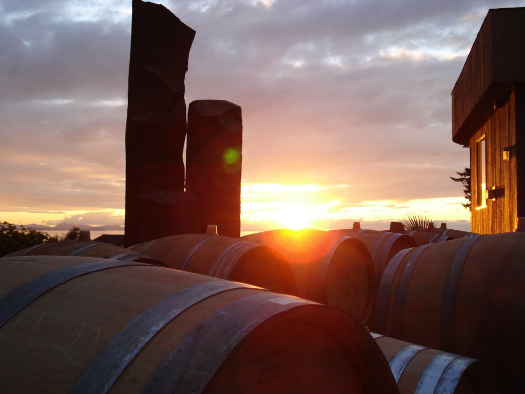 Dynasty Cellars Bellingham is County’s Go to Wine destination