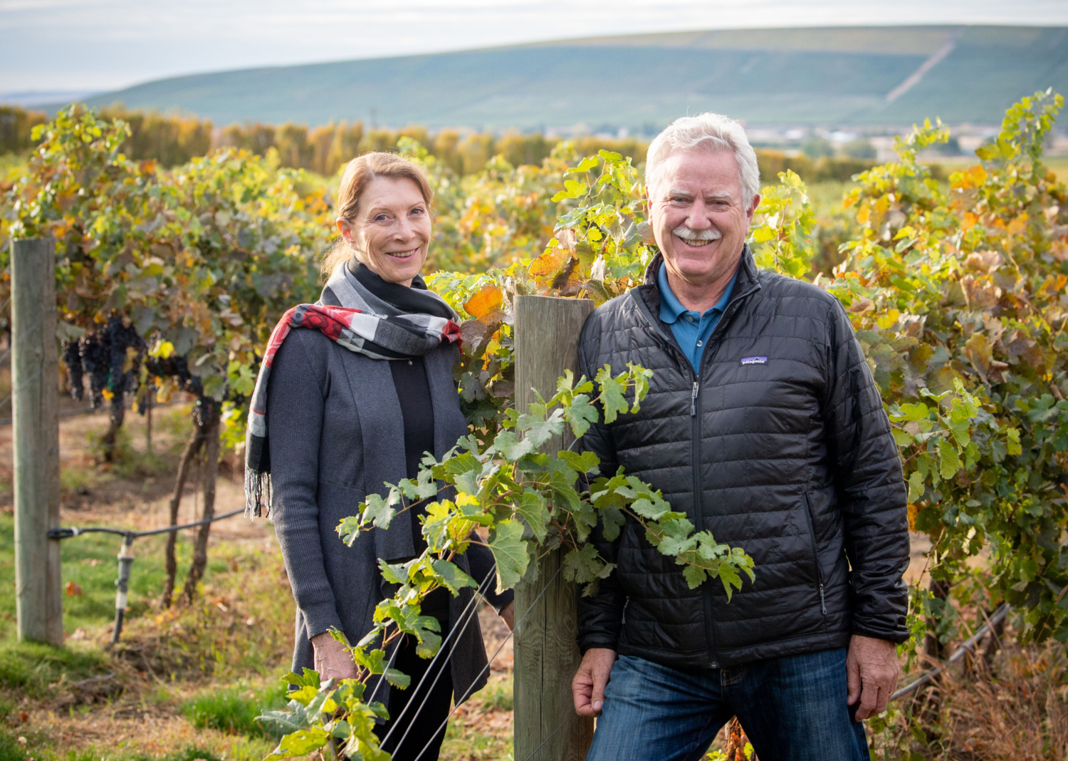 Red Mountain AVA Celebrates 20th Anniversary Discover Washington Wine